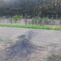 Rooted in Purpose: Gardening