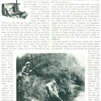 "The Angler’s Debt to Forestry"